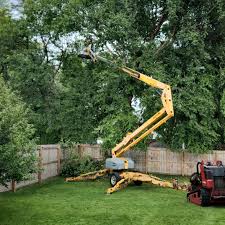 Best Utility Line Clearance  in Congers, NY